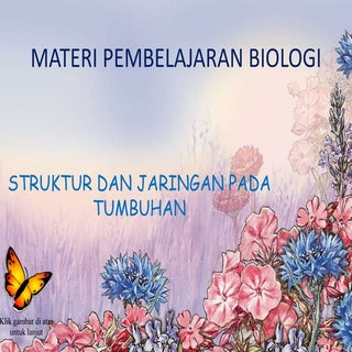 BIOLOGI - Jaringan Tumbuhan 