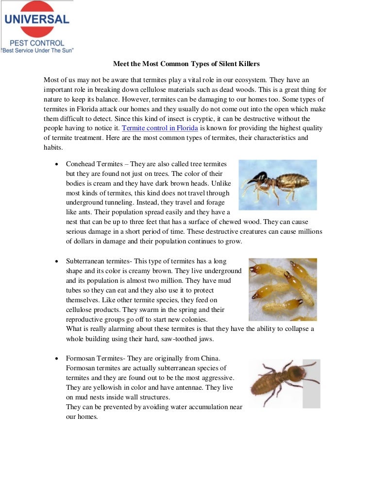 Meet the Most Common Types of Silent Killers