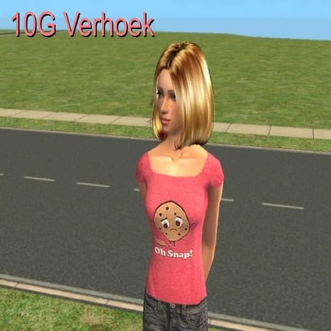 10G Verhoek Update 1