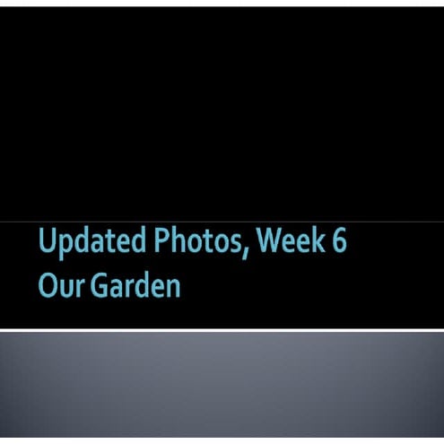 Updated  Photos,  Week 6 5  June