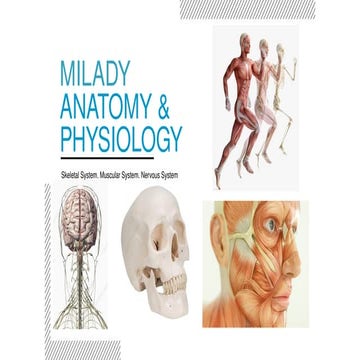 Updated Anatomy and Physiology -2025 for Cosmetology