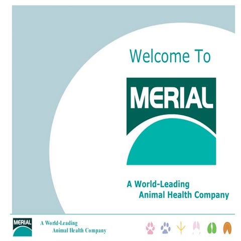 Updated English Corporate Presentation