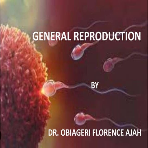 Reproduction and everything in-between...