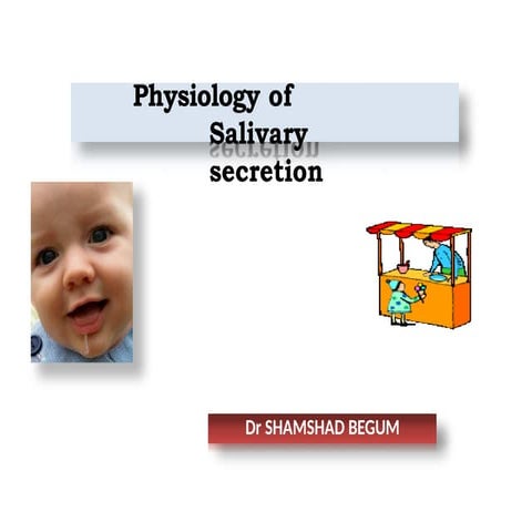 lecture :Physiology of  salivary gland secretion