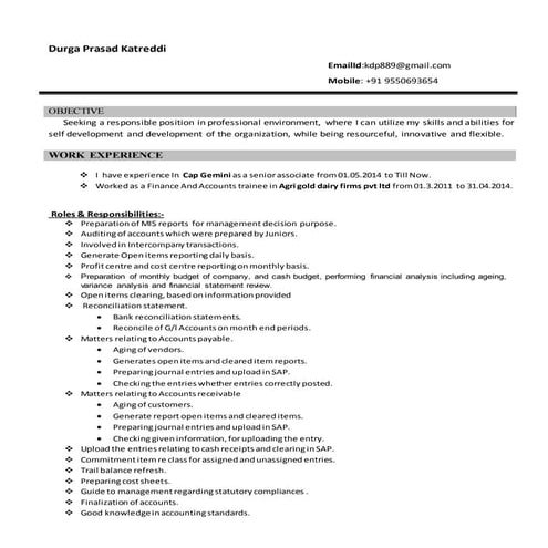 SAMI CV | PDF