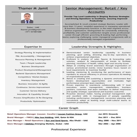 Updated resume   thamer m jamil