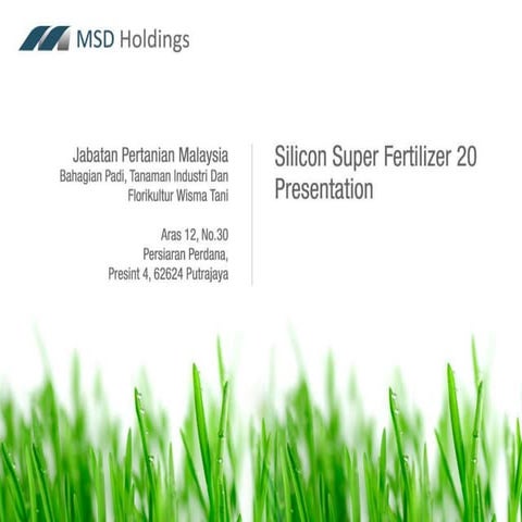 Updated silicon super fertilizer 20