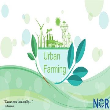 Updatesc NCR MIni-Urban Agriculture Production.pptx