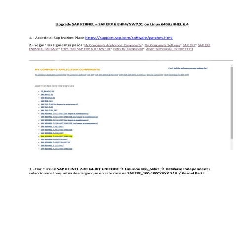 How to Upgrade Kernel SAP ERP ECC6 EHP4 on RHEL 6.4 - 64Bits | DOCX