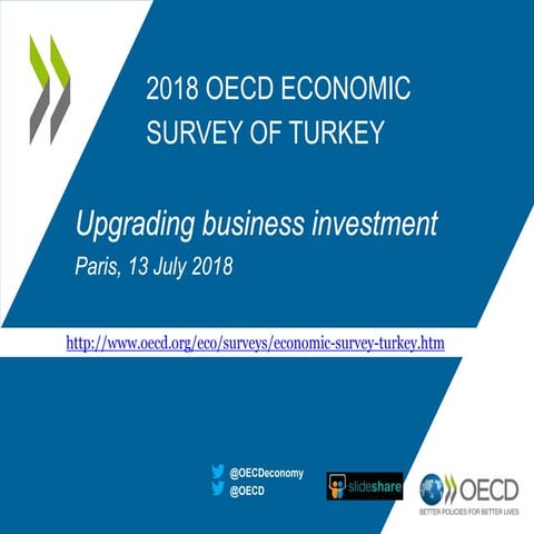 Upgrading business-investment-turkey-oecd-economic-survey-july-2018