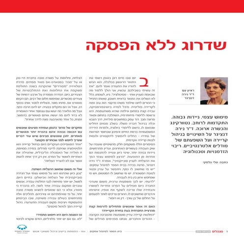 שדרוג ללא הפסקה