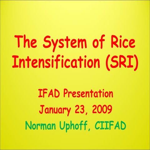 The System of Rice Intensification (SRI)