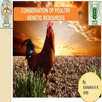 conservation of poultry genetic resources