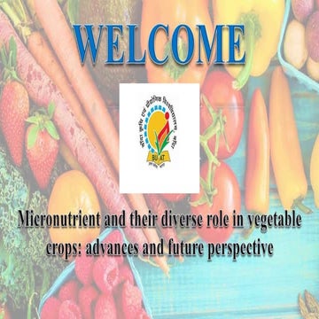 Micronutrient and their diverse role in vegetable crops: advances and future ...