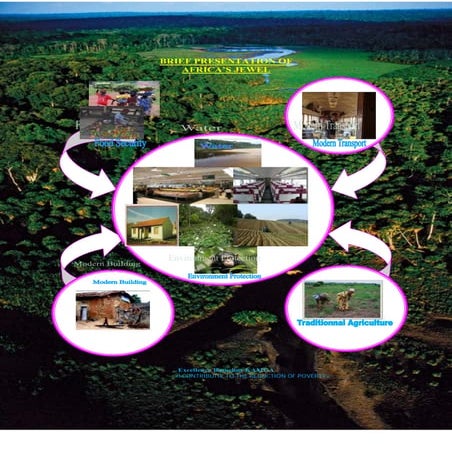 upload web THE JEWEL OF AFRICA.pdf