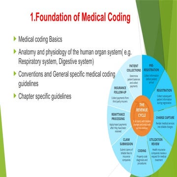 Comprehensive Foundation of Medical Coding and Human Anatomy ...