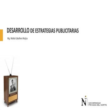 Desarrollo de Estrategias Publicitarias