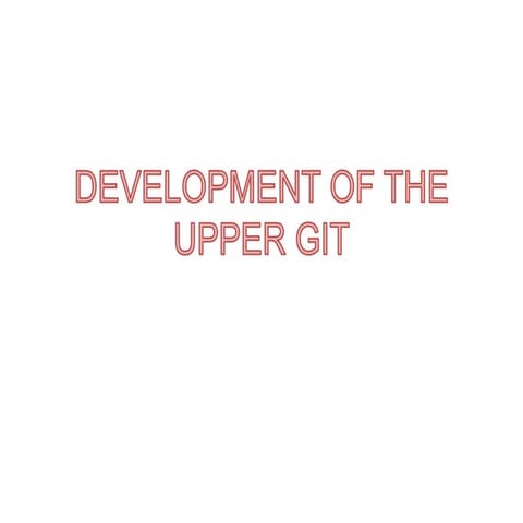 Embryonic Development of the Upper Gastrointestinal Tract: Formation ...