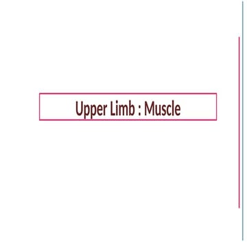 Upper Limb _ Muscles _Revision__120219.pptx