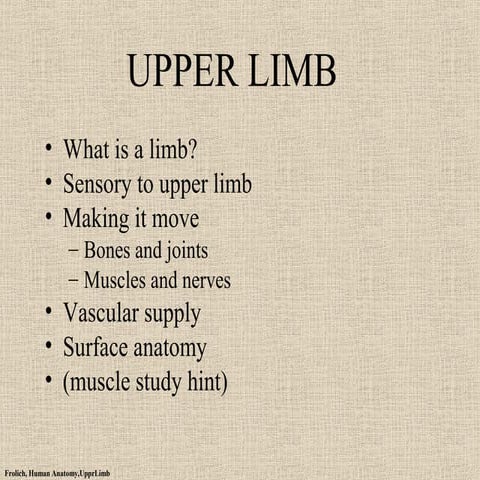 Upper limb ppt