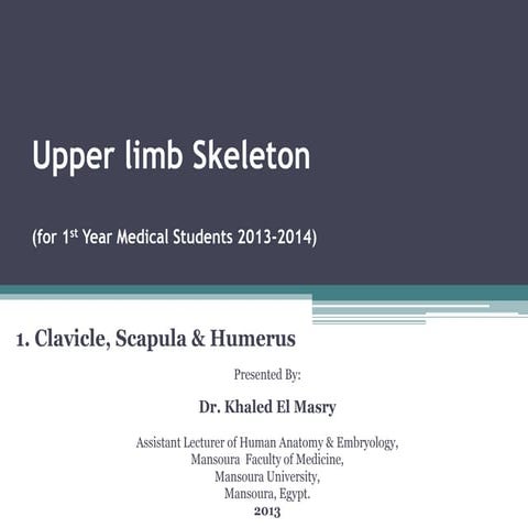 Upper limb skeleton 5th october 2013