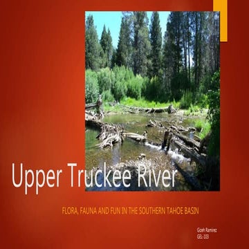 Upper truckee river gizeh