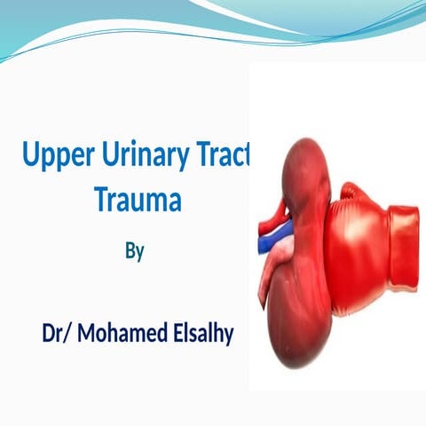 Upper Urinary Tract Trauma by Professor Mohamed Hindawy  محاضرة هامة للدكتور ...