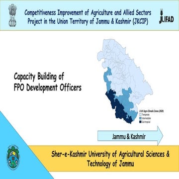 Upscaling Collectivization - CBP FPO DO.ppt