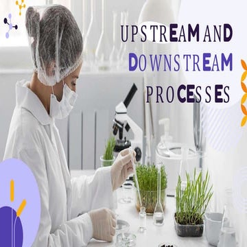 Upstream and Downstream Processes.pptx