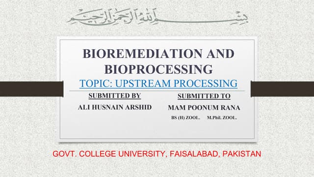 Upstream Processing