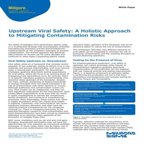 Upstream Viral Safety: A Holistic Approach to Mitigating Contamination Risks