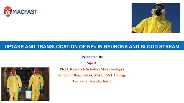 Uptake and Translocation of NPs in Neuron and Bloodstream.pptx