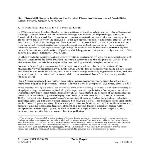 Term Paper: How Will Firms React to Limits on Bio-Physical Flows - An Exploration of Possibilities
