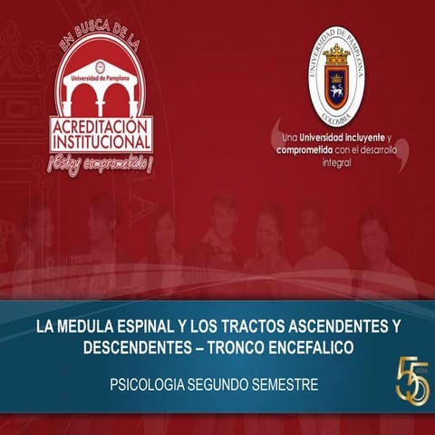 La medula espinal y los tractos ascendentes-EDUARDO GIL