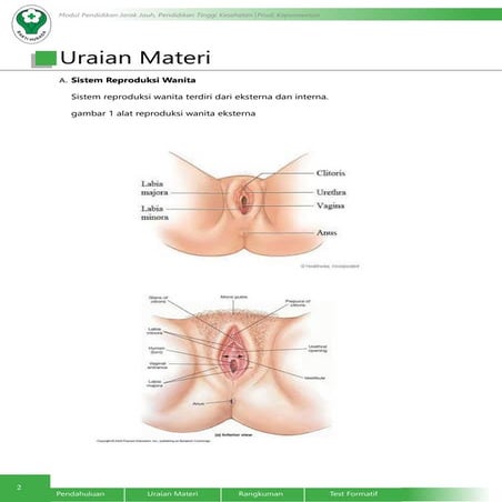 Busty qora ayollar jinsiy aloqa