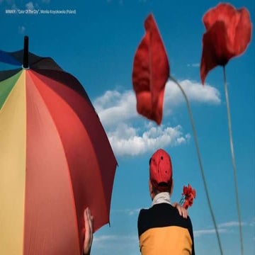 Urban 2016 Photo Awards: Winners