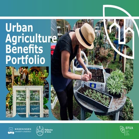Comprehensive Benefits of Urban Agriculture for Sustainable Cities | PDF