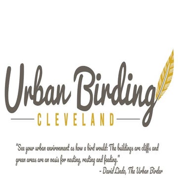 Urban Birding Cleveland 2019 by Betsey O'Hagan