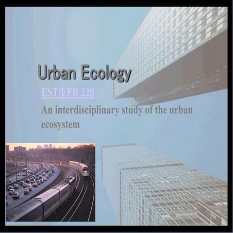 urbanecology and urban design redevelopment