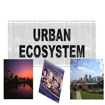 URBAN ECOSYSTEM.pptx