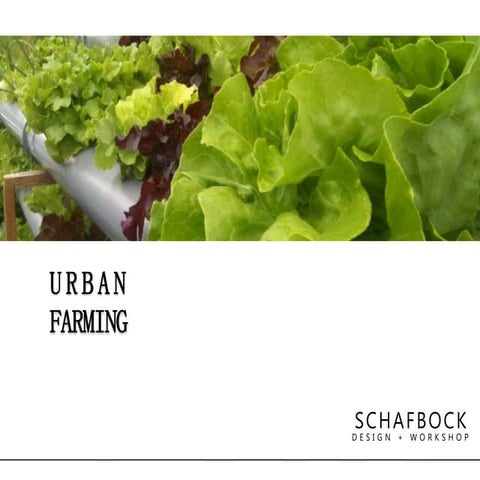 Urban farming