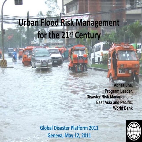 Instruments for Disaster Risk Financing | PPTX