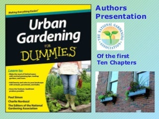 Conophytum Bilobum Care Made Simple - Even Your Kids Can Do It