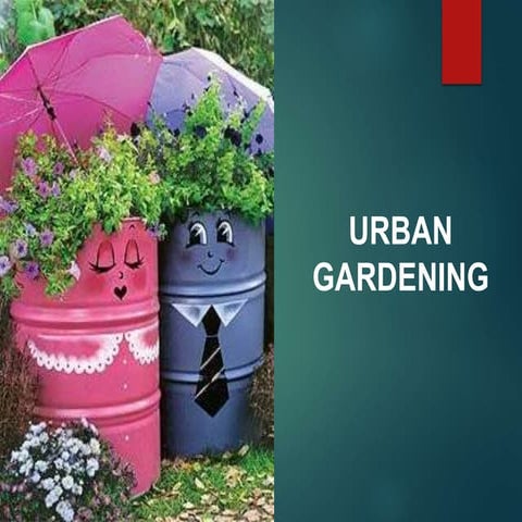 Urban gardening.pptx