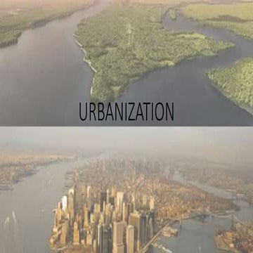 Urbanisation