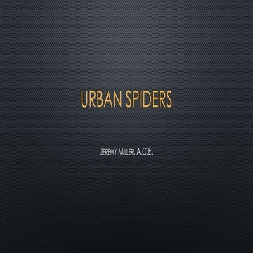 Urban spiders