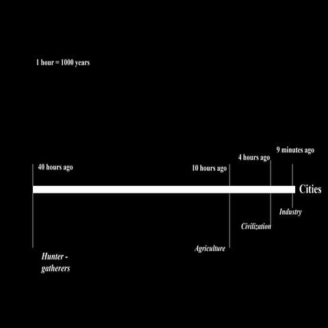 Real Estate Development: David Burney