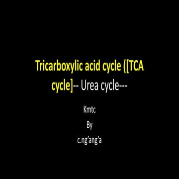 urea- tca cycle(0).pdf