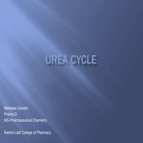 Urea cycle
