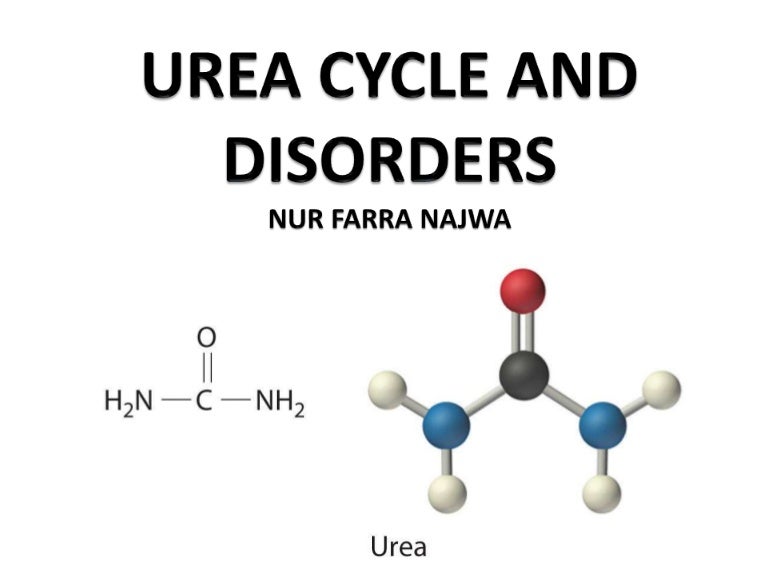Urea cycle and disorder